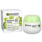 Garnier Skin Naturals Crema hidratante 24h con extractos de uva para piel normal 50 ml