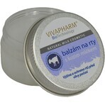 Vivapharm Baume à lèvres au lait de chèvre 25 g