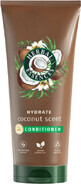 Herbal Essences Coconut Essences Coconut Scent Hydrate Nourishing and Moisturizing Conditioner 250 ml