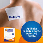 Voltaren medicated plaster 1x daily for back, muscle and joint pain 5 pieces