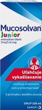 Mucosolvan &#174; Junior jarabe 15mg/5ml 100 ml