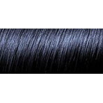 L'Oréal Paris Hair Color Préférence P12 Blue black