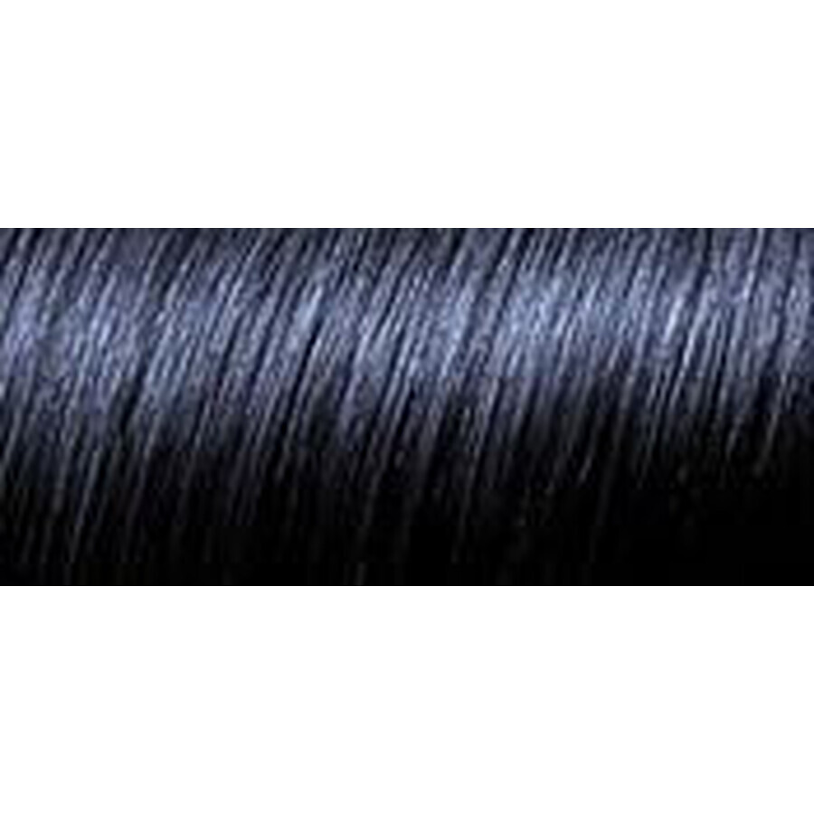 L'Oréal Paris Hair Color Préférence P12 Blue black