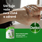 Dettol Recambio Jabón Líquido Aloe Vera y Vitamina E 500 ml