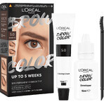 L'Oréal Paris Brow Color 5.0 Brunet semi-permanente wenkbrauwverf