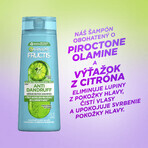 Garnier Fructis Champú Anticaspa Cítricos para cabello graso con caspa, 250 ml