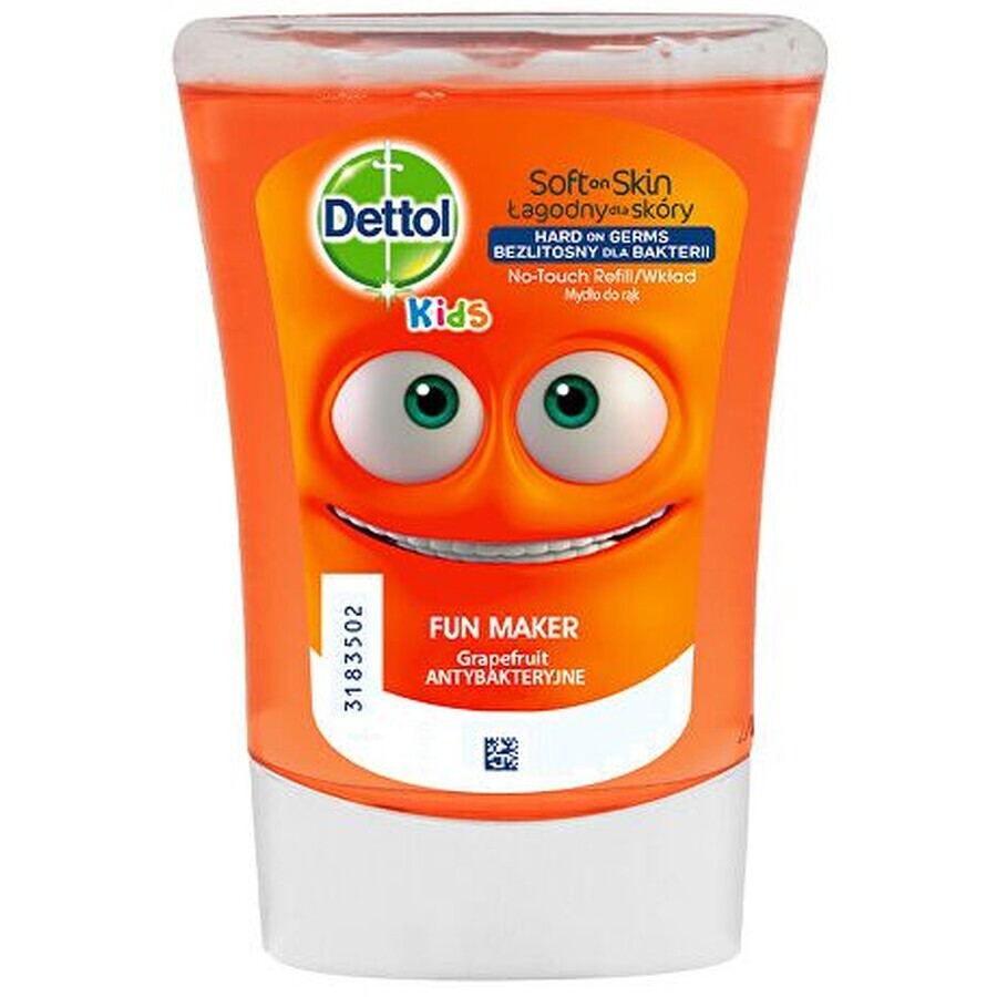 Recambio Dettol Kids Bavič 250 ml