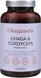 Chaganela Extracto de Chaga con cordyceps 270 c&#225;psulas