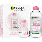 Garnier Skin Naturals Paquete de Navidad Rosa 2023 - crema + agua micelar