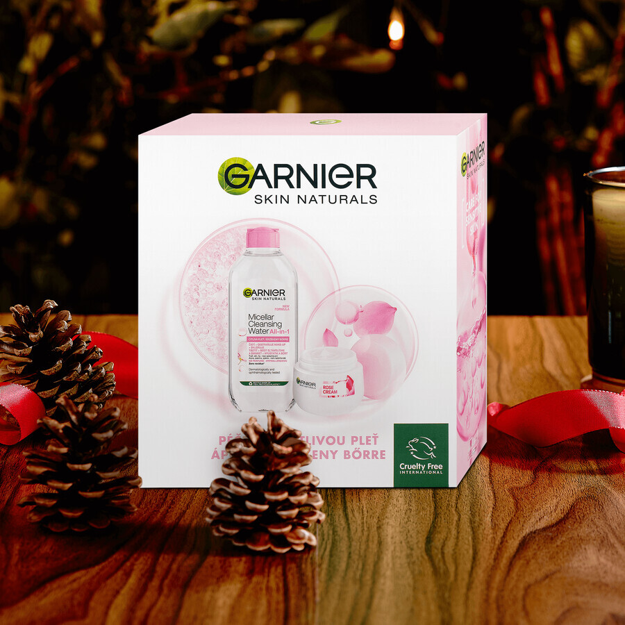 Garnier Skin Naturals Paquete de Navidad Rosa 2023 - crema + agua micelar