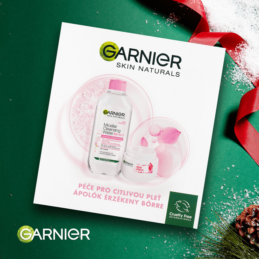 Garnier Skin Naturals Paquete de Navidad Rosa 2023 - crema + agua micelar