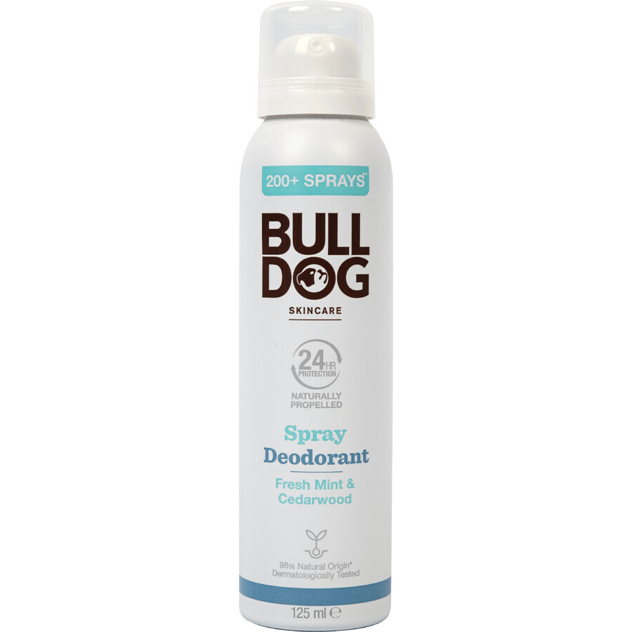 Bulldog Spray Desodorante Menta Fresca y Cedro 125 ml