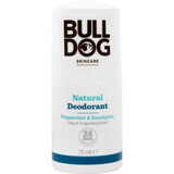 Desodorante natural Bulldog menta y eucalipto 75 ml