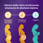 Femibion 1 Planung und die ersten Wochen der Schwangerschaft, 56 Tabletten