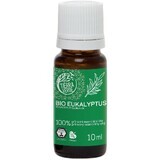 Tierra Verde Olio essenziale biologico di Eucalipto 10 ml