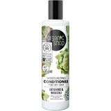 Organic Shop Moisturizing Conditioner for Dry Hair Artichoke and Broccoli 280 ml