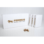 Feminus 60 tabletten