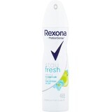 Rexona Antitranspirante Blue Pop & Apple 150 ml