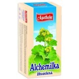 Apotheke Alchemilla thee geelgroen 20x1.5g 20 x 1.5 g