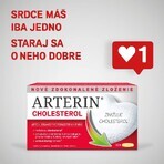 Arterin Cholesterol 30 tabletten