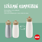 Nuk Mini-Me PP Flip Bottle green 450 ml