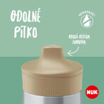 Nuk Plastic bottle Mini-Me SIP purple 300 ml