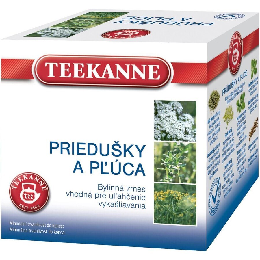 Teekanne Tisana para bronquios y pulmones 10 x 2 g