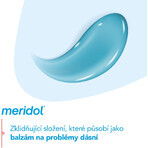 Pasta dentífrica Meridol Gum Protection & Gentle White 3 x 75 ml