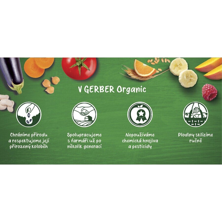 Gerber Organic Porridge bio sans produits laitiers à la vanille 200 g