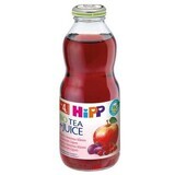 HiPP Tee & Frucht Hagebuttentee und Wurmsaft 500 ml