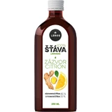 Leros Ingwersaft mit Ingwer und Zitronensaft 250 ml