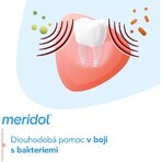 Meridol Complete Care pasta dentífrica para dientes y encías sensibles 75 ml