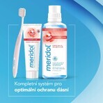 Meridol Complete Care pasta dentífrica para dientes y encías sensibles 75 ml