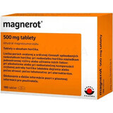 Magnerot 100 comprimidos