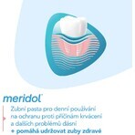 Meridol Gum Protection Pasta dentífrica 3 x 75 ml