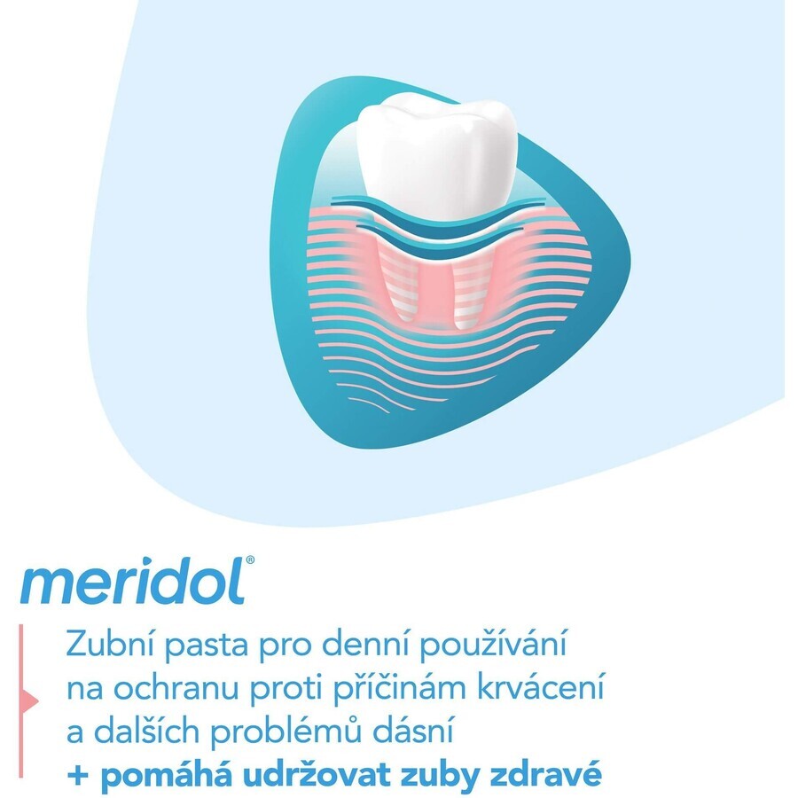 Meridol Gum Protection Pasta dentífrica 3 x 75 ml