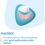 Meridol Gum Protection Pasta dentífrica 3 x 75 ml