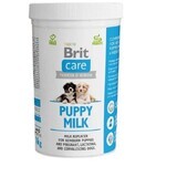 Leche para cachorros Brit Care 1 kg