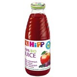 HiPP Roter Bio-Fruchtsaft mit Eisen 500 ml