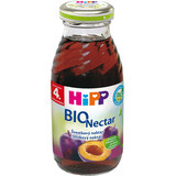 HiPP Saft Pflaumennektar, 200 ml