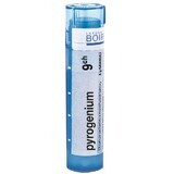 Boiron Pyrogenium CH9 gránulo 4 g