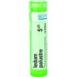 Boiron Ledum Palustre CH5 gránulo 4 g