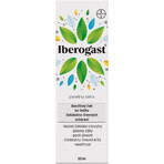 Iberogast solución oral 50 ml