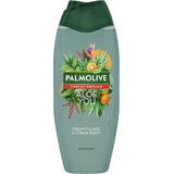 Palmolive Forest Edition Gel de Ducha Aloe You 500 ml