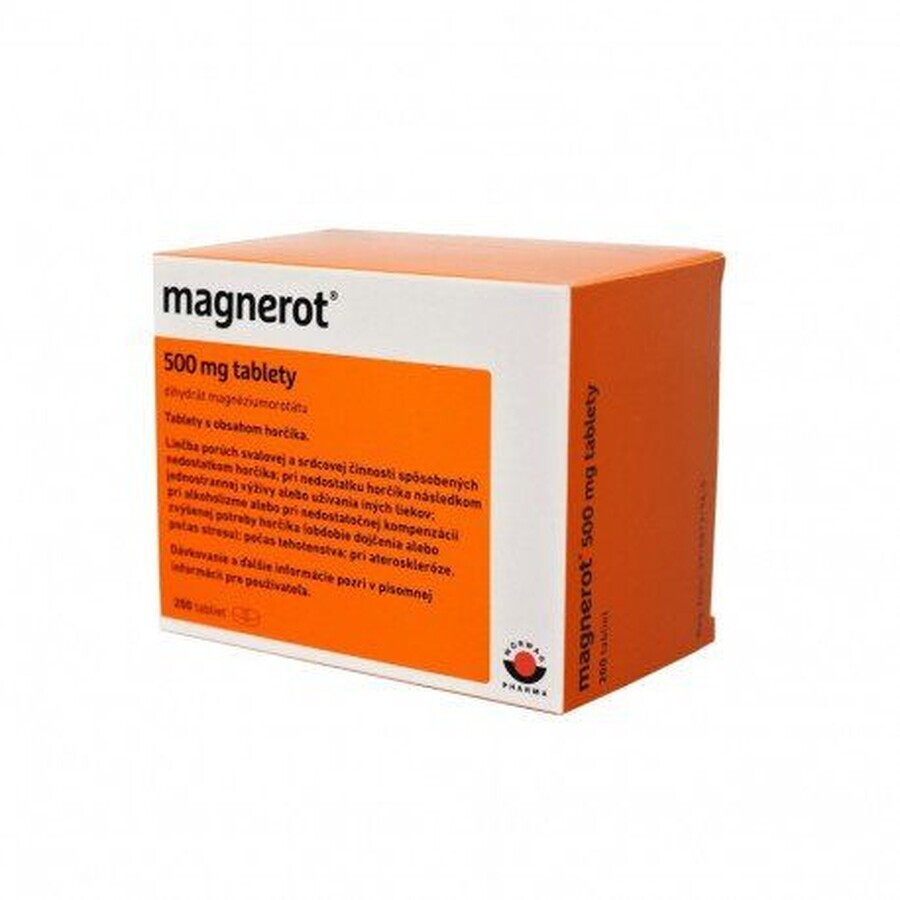 Magnerot con magnesio 200 comprimidos