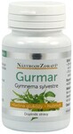 Instrumentos de salud Gurmar Gymnema sylvestre 60 c&#225;psulas