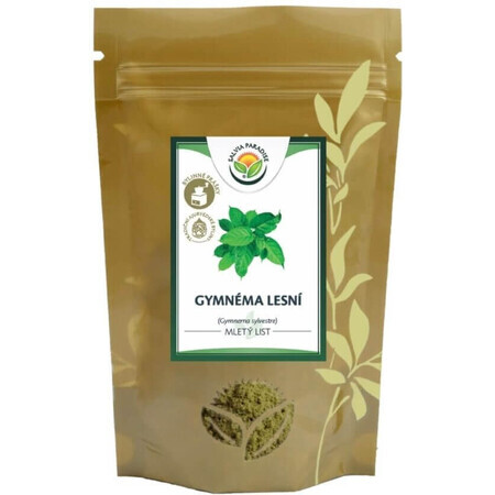 Salvia Paradise Gymnema Gymnema hojas suelo del bosque 100 g