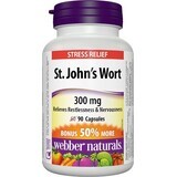 Webber Naturals St. John's Wort 300 mg 90 capsules