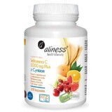 Vitamina C 1000 mg con Zinco PLUS 100 capsule VEGE Aliness