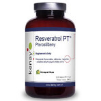 Resveratrol PT - PTEROSTILBENY (300 capsules), Kenay